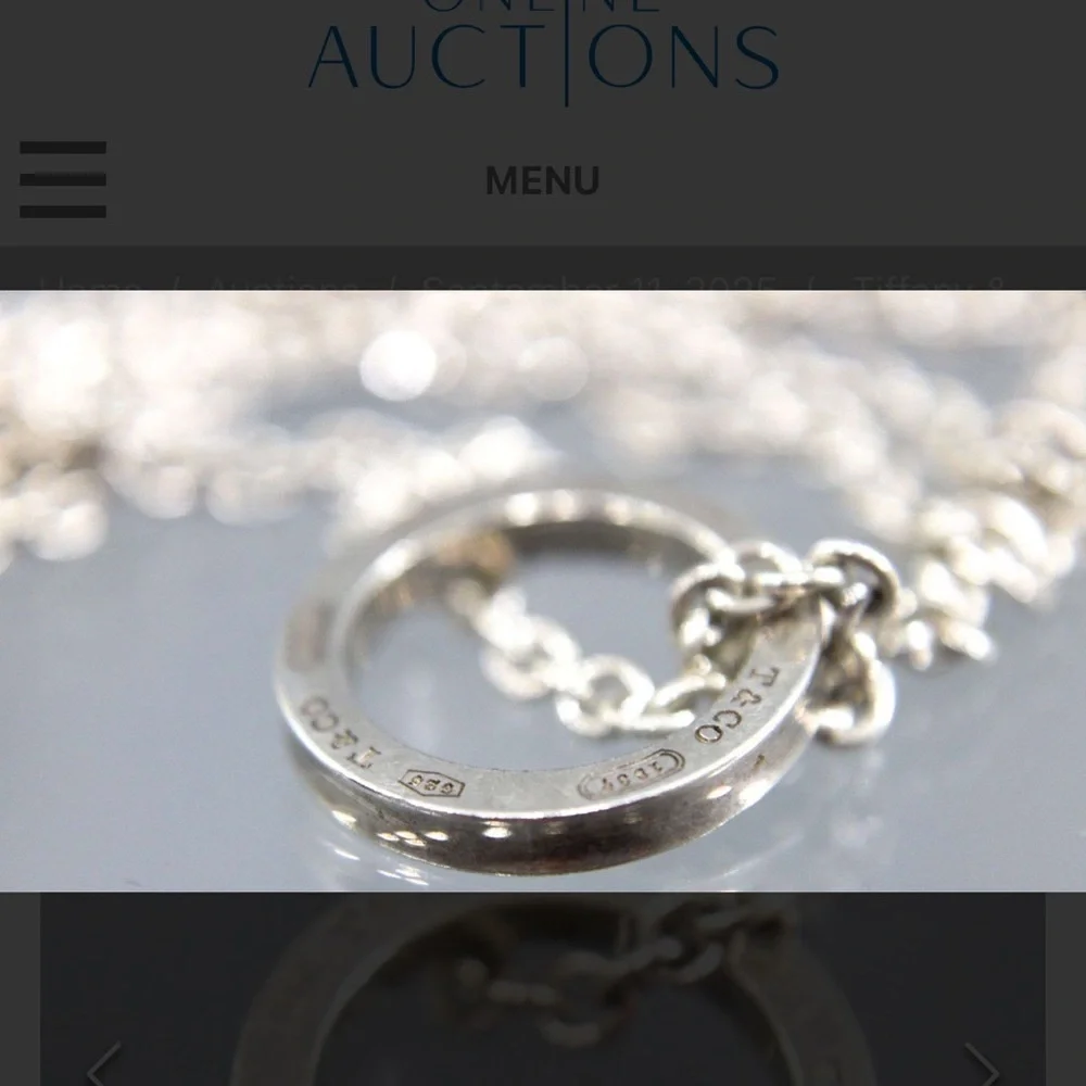 Tiffany & Co. Silver Circle Pendant Necklace